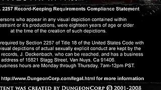 Brunette big boobs takes it also anal