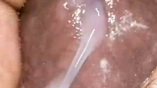 New Pussy Eating Compilation with Bonus Clips