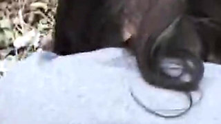 Wife dogging in the woods anal fucked by stranger