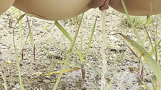 Public Pissing Compilation in Nature! Travel by Car! POV!