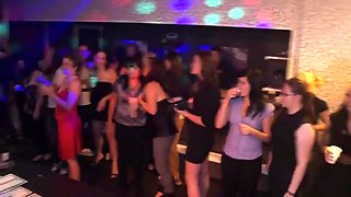 Party Of These Funny Whores