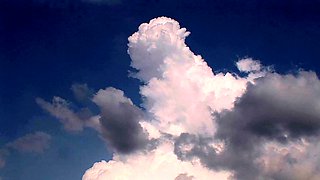 Asian girl getting licked squirting while fingered on the be