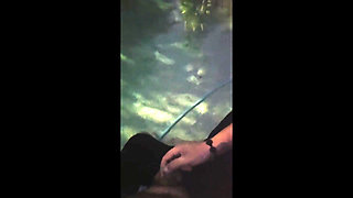 Giving the Pool Guy a Handjob for Payment