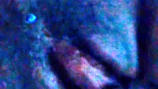 Ebony BBW Gets Fucked Tied to Bed - Little Bleu J