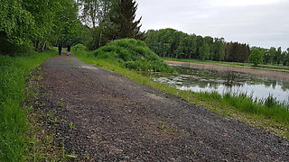 Men's Day Differently: a Special Walk