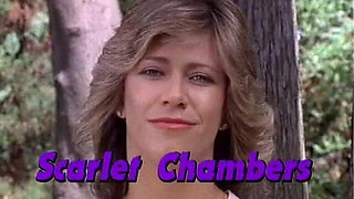 Classic Porn Dvds: Marilyn Chambers' Private Fant