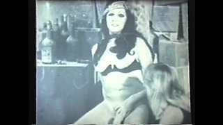 Wild Perverted Sluts