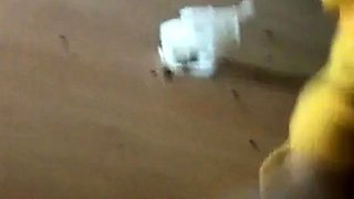 Korean Amateur Sucks Cock in Bathroom Gloryhole