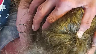 Anisleigh  getting warmed up on a pool table in view of the highway