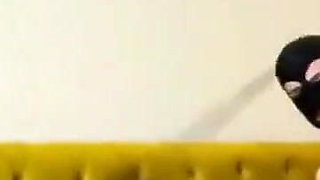 Fitch, the Stepmother and Her Stepson, to Satisfy His Fantasy