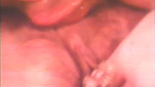 Vanessa Del Rio In Lesbians Each Other