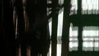 Julia Taylor Nun AnalBig Boobs Blowjobs Hardcore Vintage