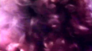 Achy Assholes - Full Vintage Movie With Retro Vintage