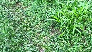 Neighbor sucks it tasty