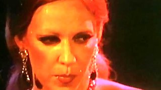 Stunning group sex babes getting cumshot
