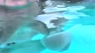 Bustys Cam Webcam Big Boobs Free Big Boobs Cam Porn Video