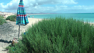 Sunbathing on the beach