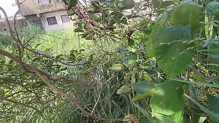 Two Lovers Traveling by Road Decided to Fuck in the Bush When There Bus Has Issued