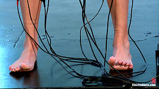 Maia Under Electro-control