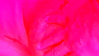 Cum Transfer: Kissing My Wife with the Other Guy’s Cum.