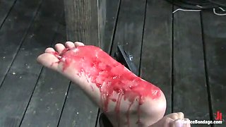 Live BDSM Fucking with Claire, Jade and Sarah Part 2