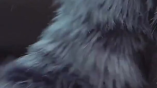 Our Member Is Fucking a Street Girl