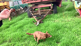 Walking naked in the nature