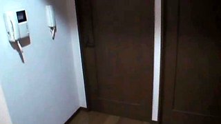 Busty Japanese nipples licking