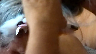 Kitty Meow Meow
