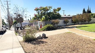 Hot skinny blonde girl gets horny during her ride home and gets fucked by her boyfriend in missionary position