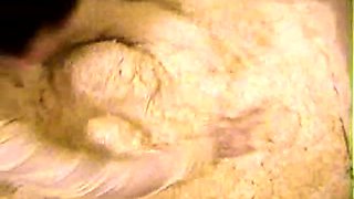 Amateur Asian teen sucks this big hard cock