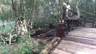 We Have Sex In The Garden Of Eden And Nearly Got Caught