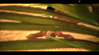 Wild Life Animation Collection Sex Game Play straight 04 Nude Game Play 18+