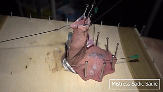Hardcore CBT with Fishhooks and Needles