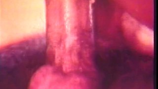 Dick Riding In RV - Big tits