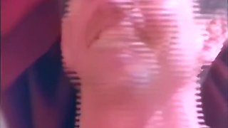 Peter North And Jordan Lee In The Whore Wants More Fire