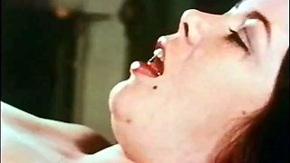 Voyeur Movie