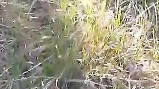 High Heels and Walking in the Woods
